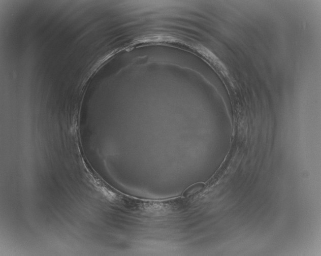 X0000073470945200608111532