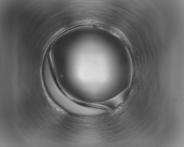 X0000073470946200608111532