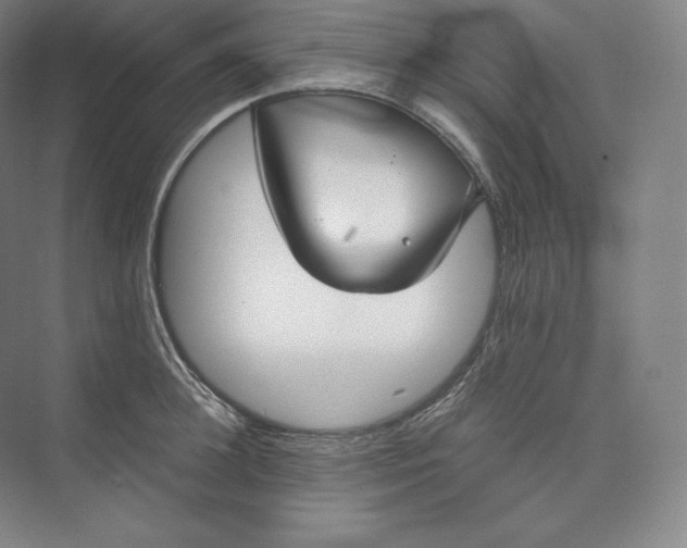 X0000073470948200608111532