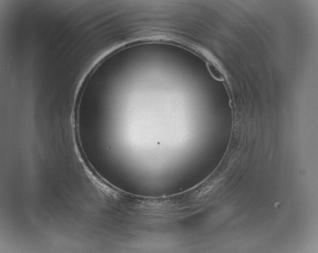 X0000073470951200608111532