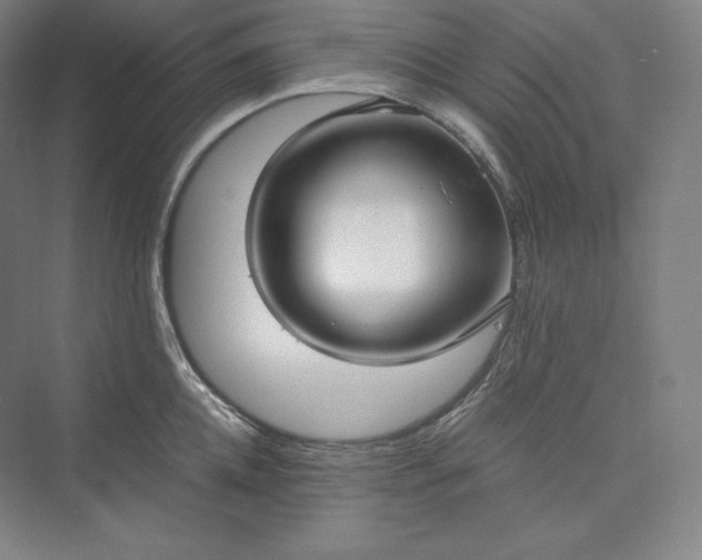 X0000073470952200608111532