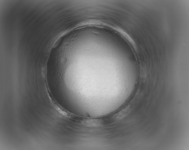 X0000073470953200608111532