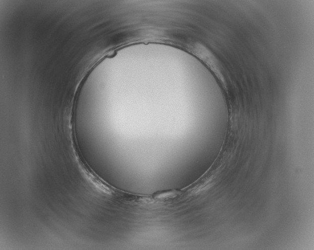 X0000073470954200608111532