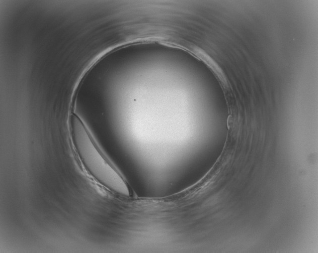 X0000073470956200608111532