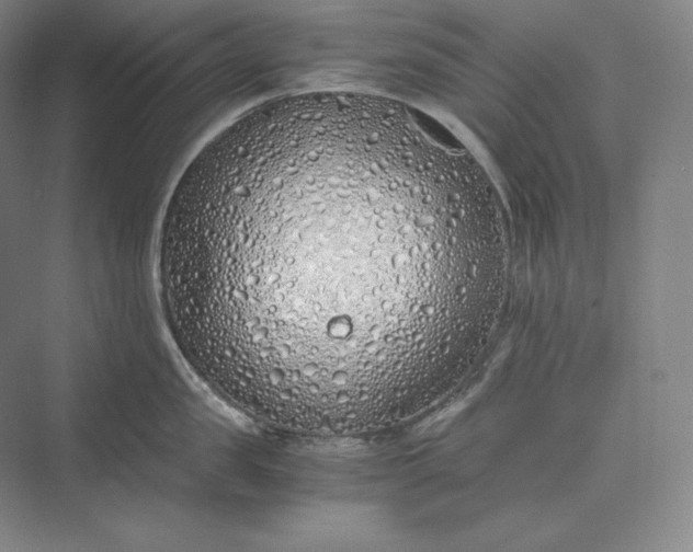 X0000073470957200608111532