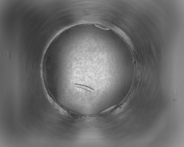 X0000073470958200608111532