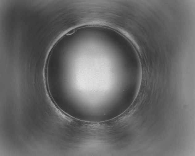 X0000073470959200608111532