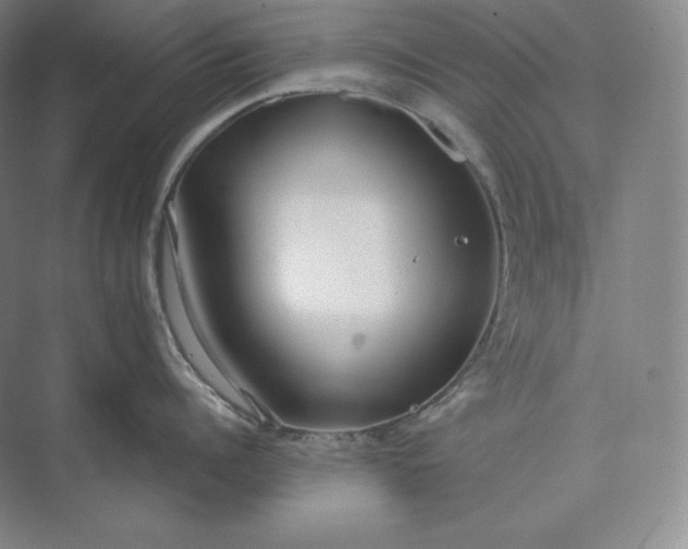 X0000073470960200608111533