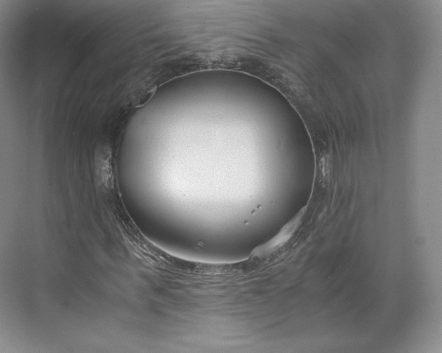 X0000073470963200608111532