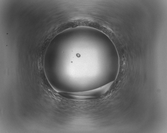 X0000073470965200608111532