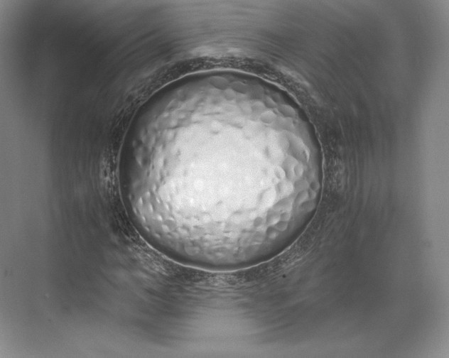 X0000073470966200608111532