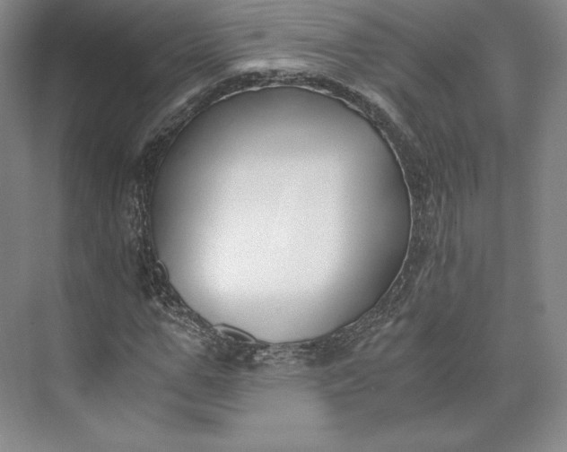 X0000073470967200608111532