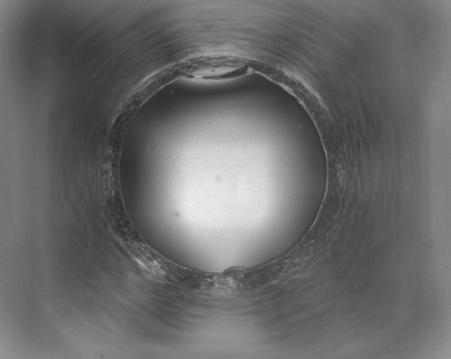 X0000073470968200608111532