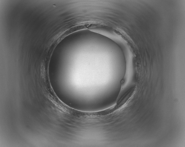 X0000073470969200608111532