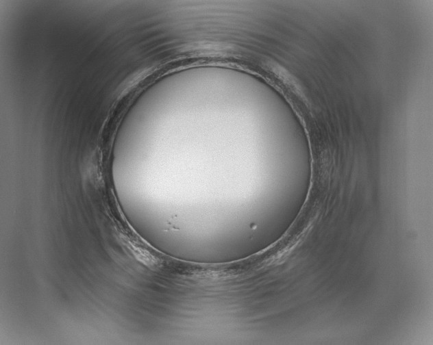 X0000073470970200608111532