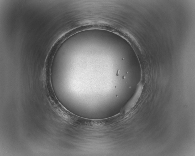 X0000073470975200608111531