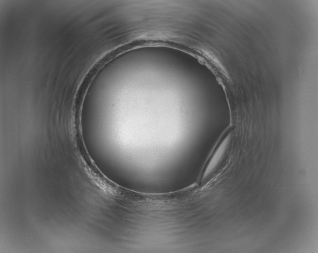 X0000073470976200608111531