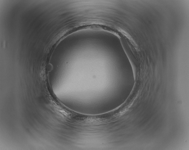 X0000073470977200608111531