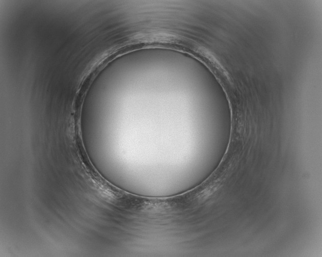 X0000073470978200608111531