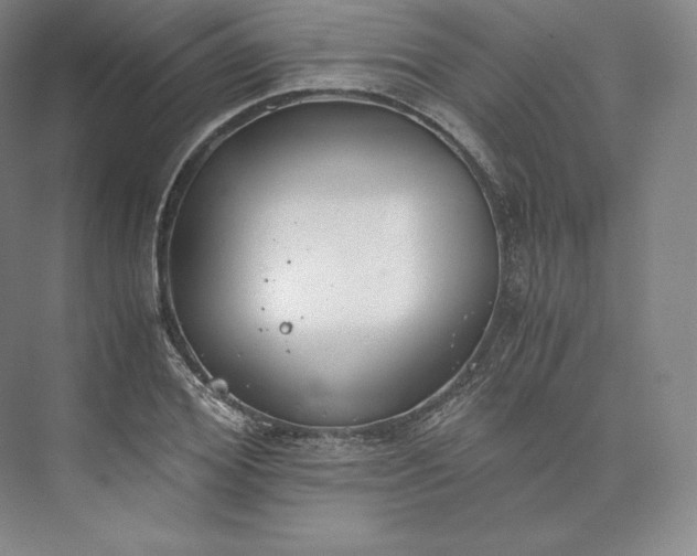 X0000073470980200608111531