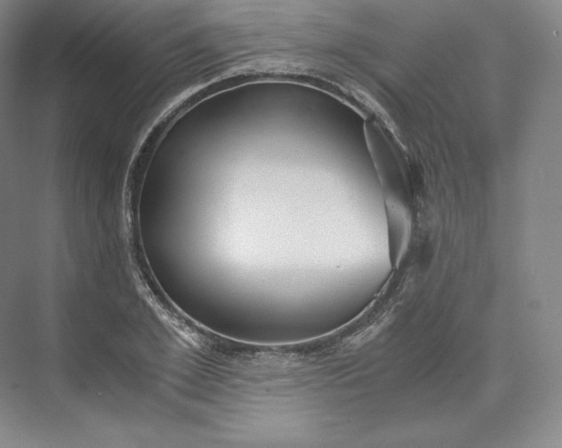 X0000073470981200608111531