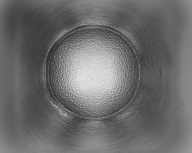 X0000073470982200608111531