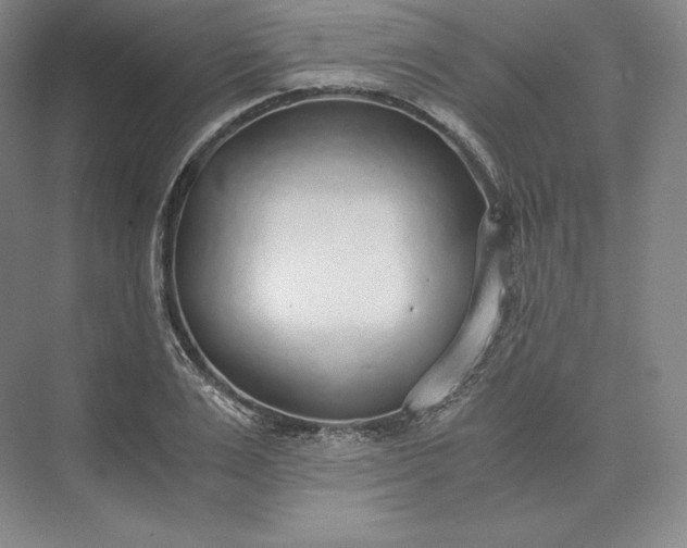 X0000073470983200608111531