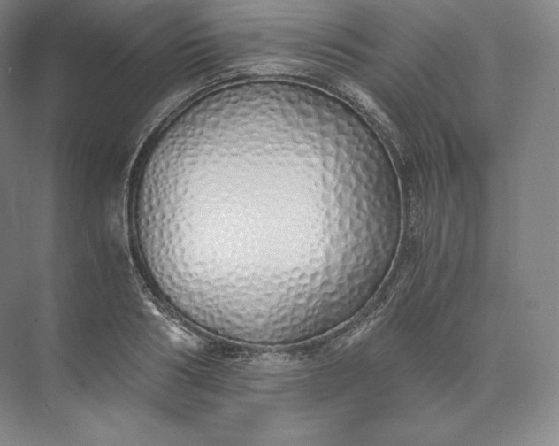 X0000073470986200608111531