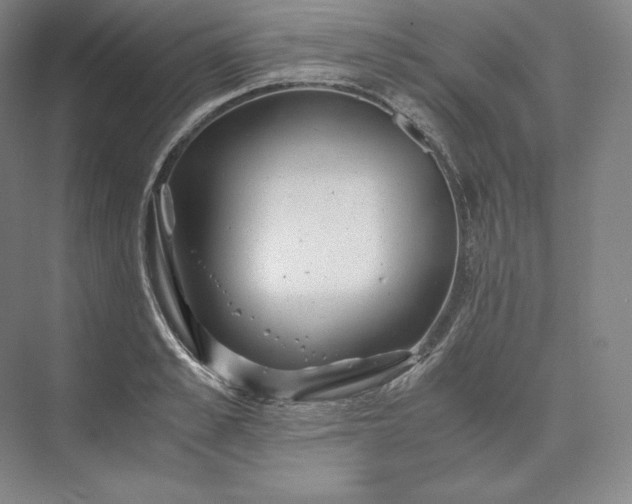 X0000073470989200608111531