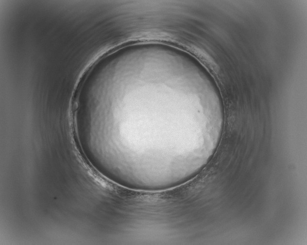 X0000073470990200608111531