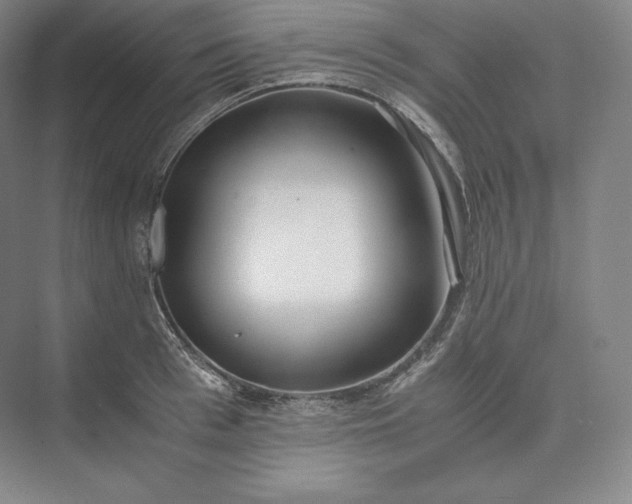 X0000073470993200608111531