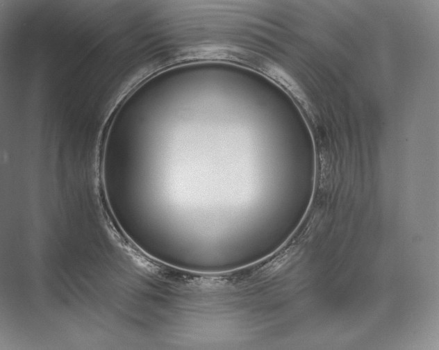 X0000073470994200608111531