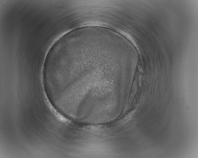 X0000073470995200608111531