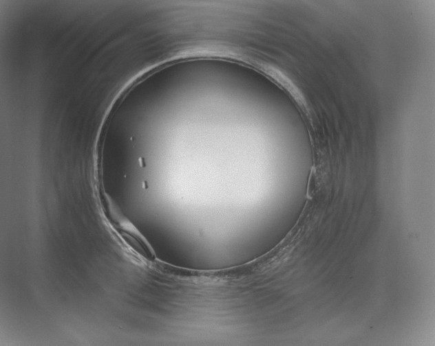 X0000073470996200608111531