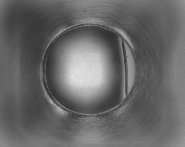 X0000073470999200608111531