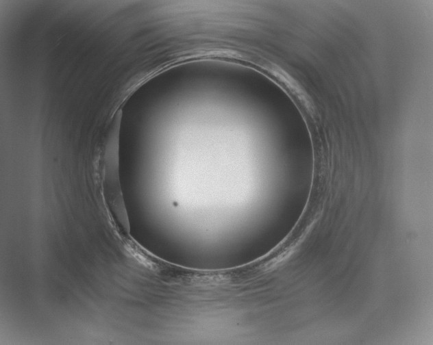 X0000073471001200608111531