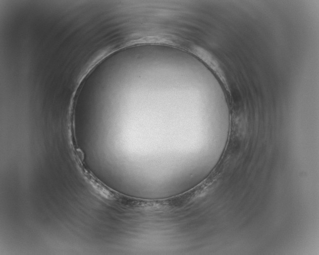 X0000073471002200608111531