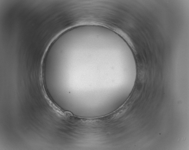 X0000073471004200608111531