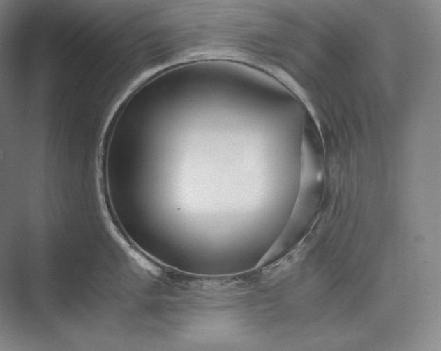 X0000073471005200608111531