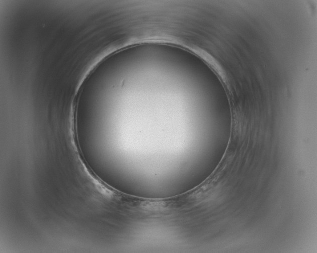 X0000073471006200608111531