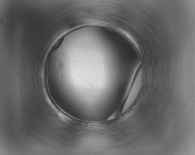 X0000073471007200608111531