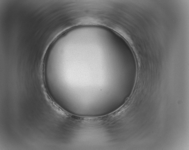 X0000073471008200608111531