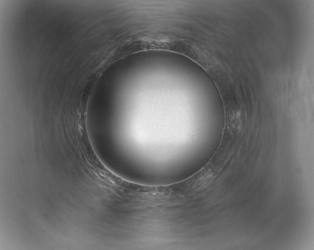 X0000073471010200608111530