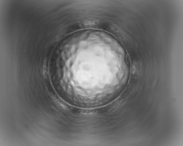 X0000073471011200608111530