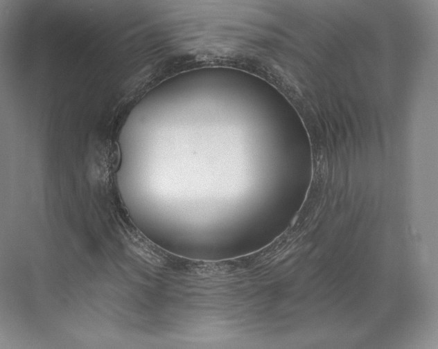 X0000073471012200608111530