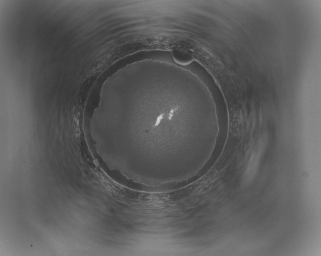 X0000073471013200608111530