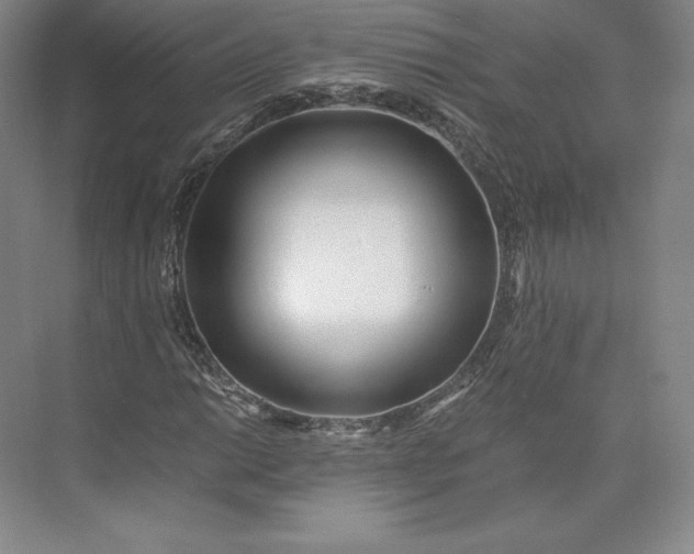 X0000073471014200608111530