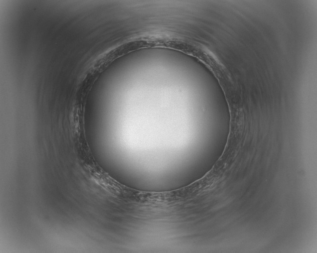 X0000073471016200608111530