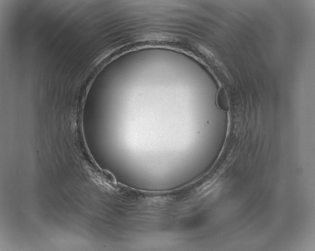 X0000073471017200608111530