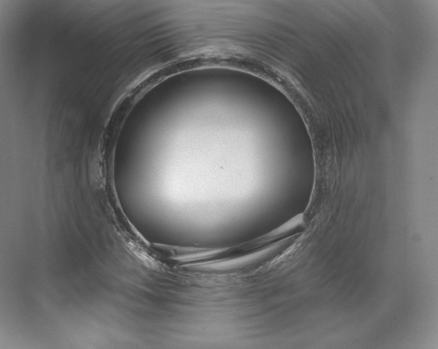 X0000073471018200608111530